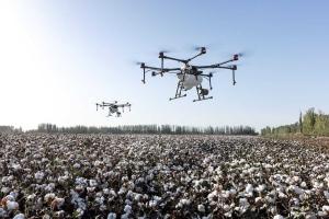 Cotton Showing Modest Wednesday Morning Weakness